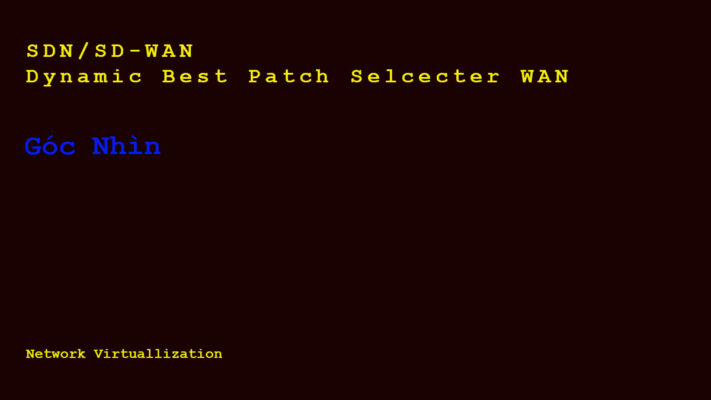 SD WAN Avatar copy
