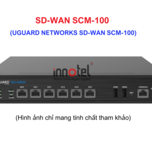 UGUARD NETWORKS SD-WAN SCM-100