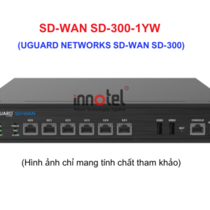 UGUARD NETWORKS SD-WAN SD-300-1YW