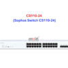 CS110-24