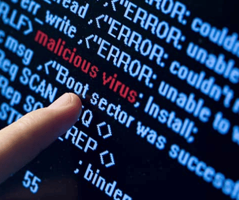 Virus sector