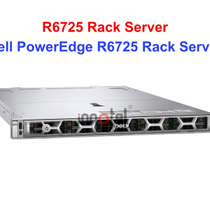 Dell PowerEdge R6725 Rack Server