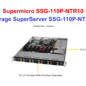 Storage SuperServer SSG-110P-NTR10